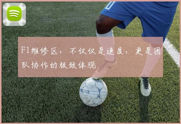 F1维修区，不仅仅是速度，更是团队协作的极致体现