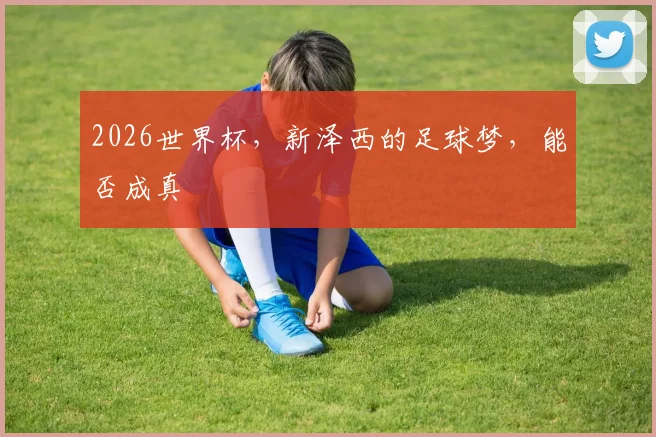 2026世界杯,新泽西的足球梦,能否成真