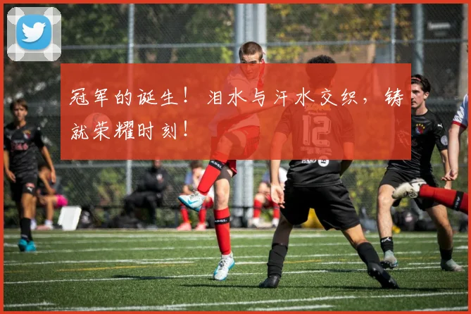 冠军的诞生！泪水与汗水交织，铸就荣耀时刻！